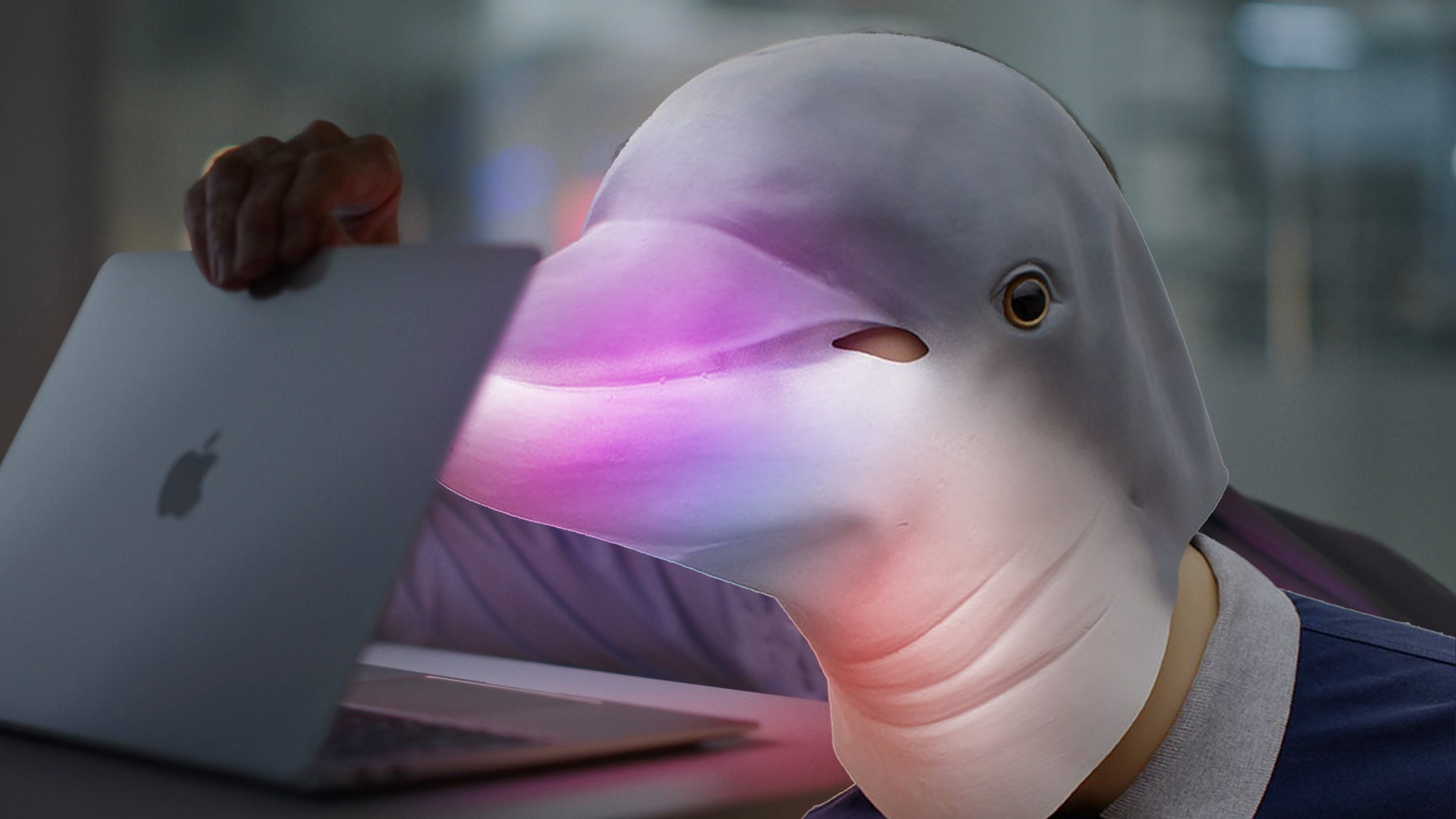 dolphin emulator mac online